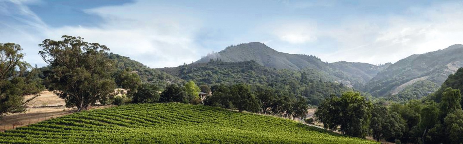 Kenwood Vineyards