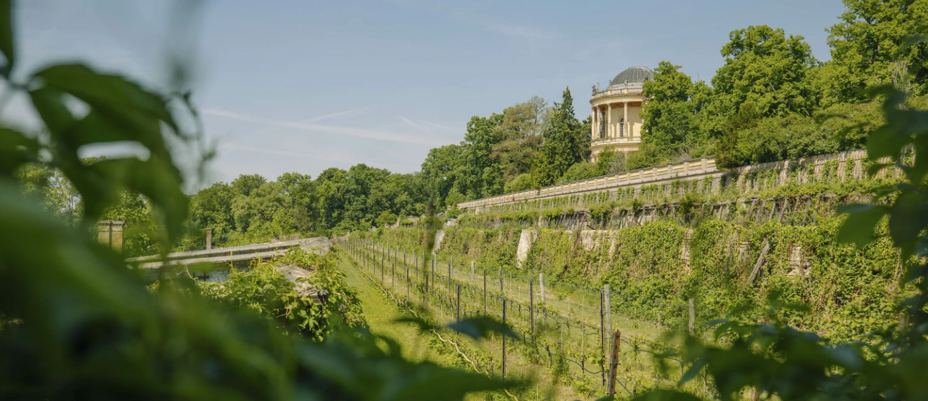 Royal Wine Festival Potsdam-2026