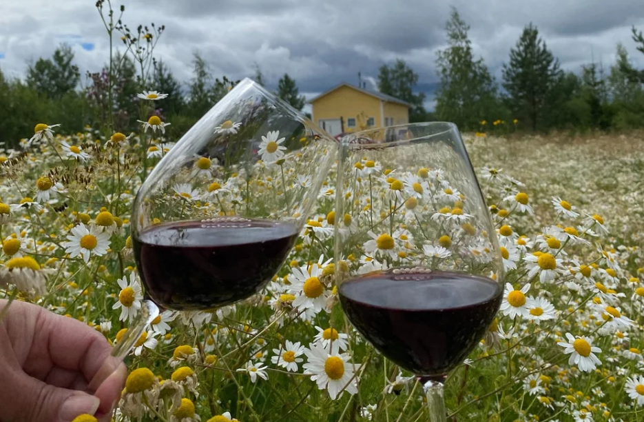 Ainoa Winery