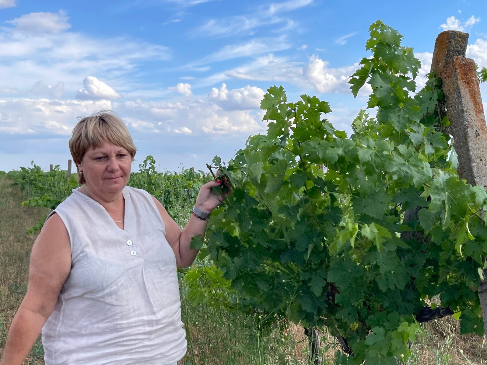 BIG WINES