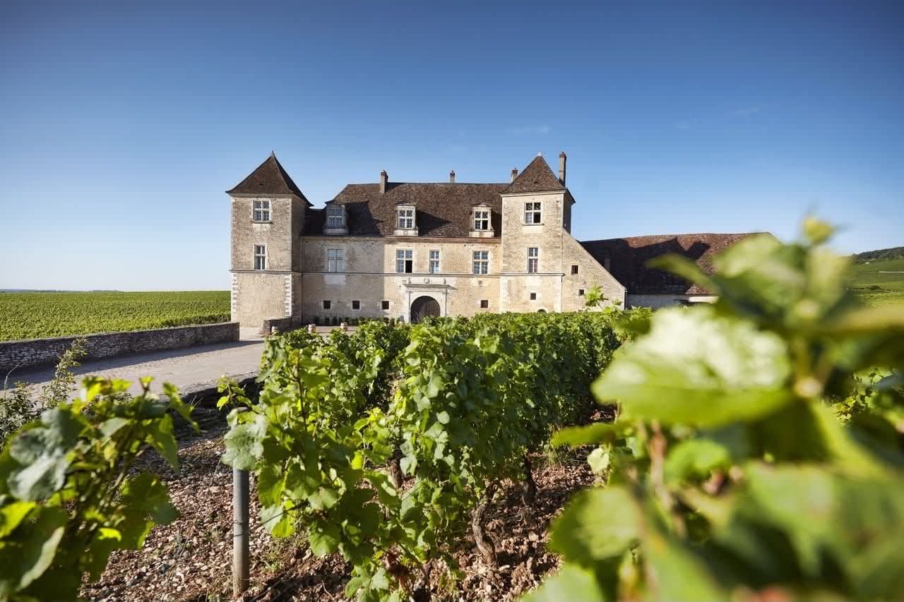 Château du Clos de Vougeot