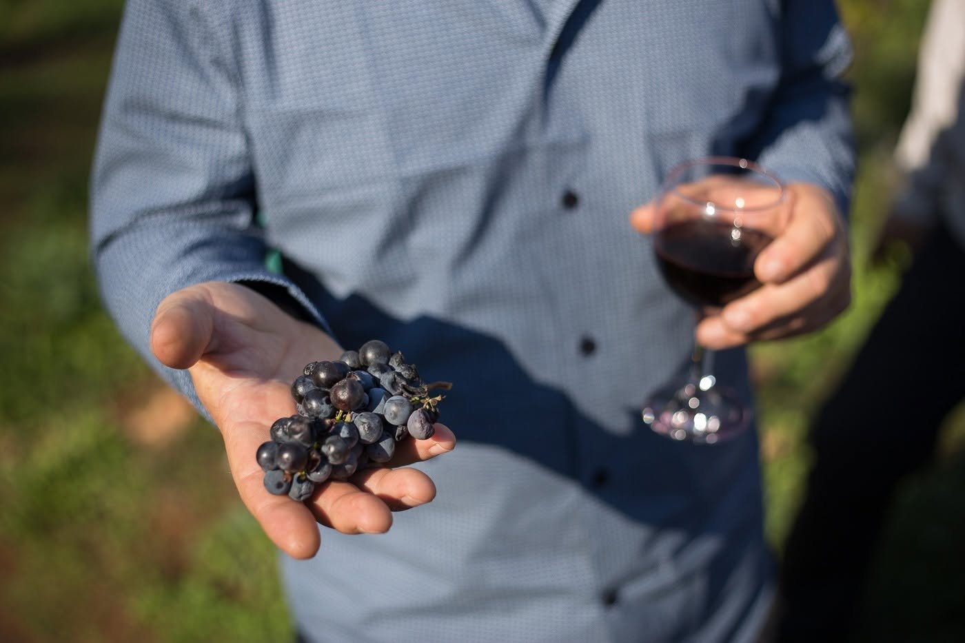 Jablan Winery
