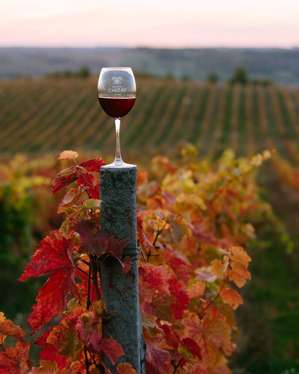 Chateau Chizay