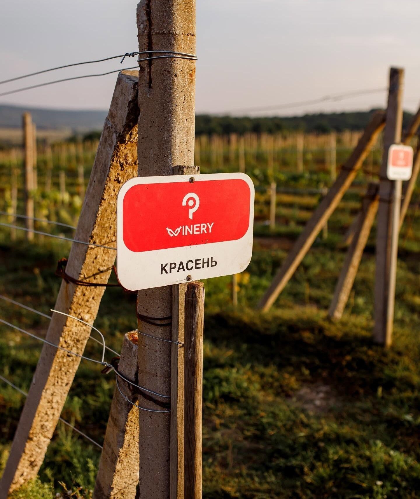Красень