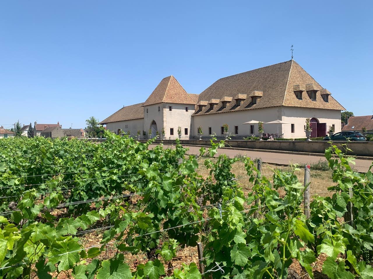 Château de Marsannay