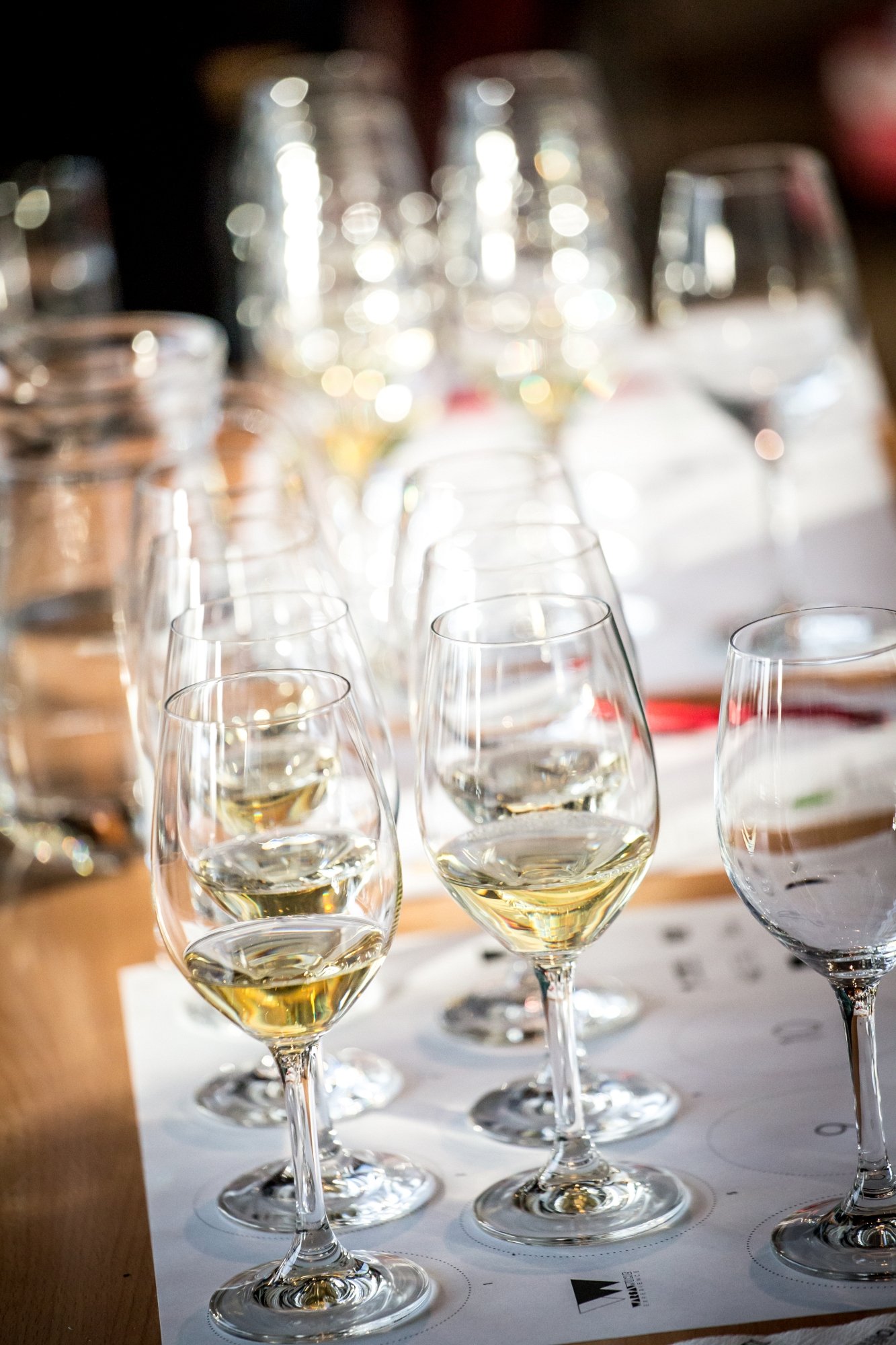 Warsaw Wine Experience