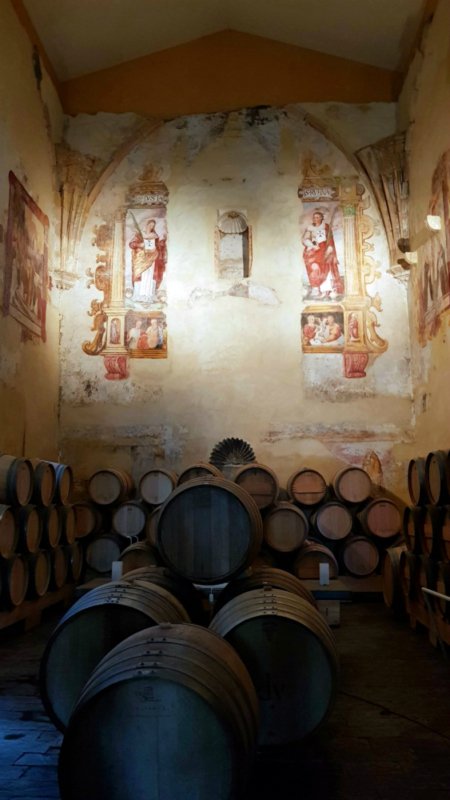 Descalzos Viejos Winery Cellar